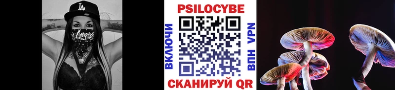 Галлюциногенные грибы Psilocybe Суоярви